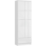 REGAŁ ZAMKNIETY R60 2D 1SZ CLP PK BIAŁY/ BIAŁY POŁYSK