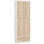 REGAŁ ZAMKNIETY R60 2D 1SZ CLP PK BIAŁY / SONOMA