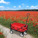 Wózek turystyczny transportowy TYRS składany 145L Czerwony - obrazek 3